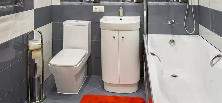 Hansgrohe Shaving Mirror Watsonville