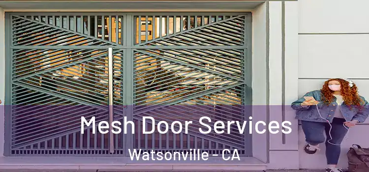 Mesh Door Services Watsonville - CA